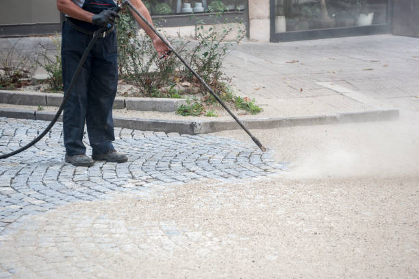Best Dumpster Area Cleaning  in Antioch, IL
